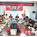 郴州：嘉禾县驻东莞流动人口计生协参与社会治理工作
