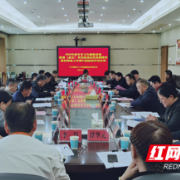 郴州2020年度市直卫生健康系统党委书记述职评议有亮点