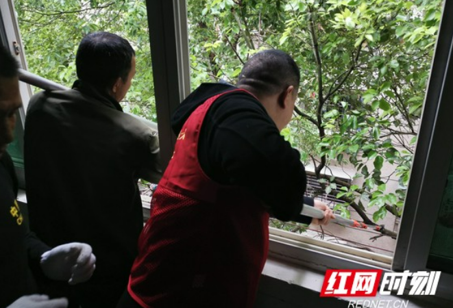 郴州市中心血站开展党员进社区共建共治共享活动