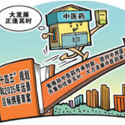 解读“十四五”健康蓝图：用中医药的规律发展中医药