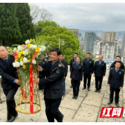 张家界市卫监局：为烈士墓碑描红 厚植红色基因