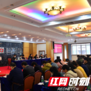 长沙市中心医院召开党史学习教育工作推进会
