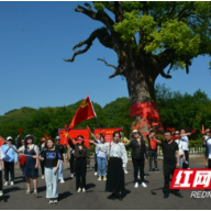 张家界仁康中医院积极探索 “党建带团建”管理模式见成效