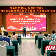 “大手牵小手” 郴州市卫生健康委举办党史学习教育