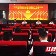 张家界：慈利县卫健工委开展党代表选举工作