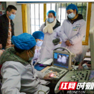 岳阳:“智慧公卫”助力桃林基本公卫服务提质增效