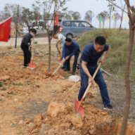 岳阳临湘市妇幼保健院开展植树节党日活动