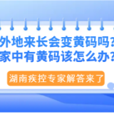 外地来长会变黄码吗？家中有黄码该怎么办？湖南疾控解答来了