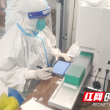 援吉日记 | 我亲爱的小哥俩:期待疫情散去,相聚人间四月天