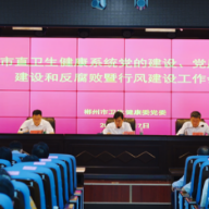 郴州市直卫健系统召开党的建设、党风廉政建设和反腐败暨行风建设工作会