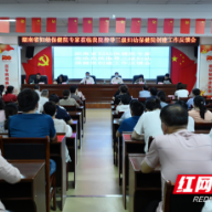 湖南省妇幼保健院专家组指导郴州市妇幼保健院三级创建工作