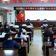 郴州市举办2022年上半年全市危重孕产妇评审暨培训班