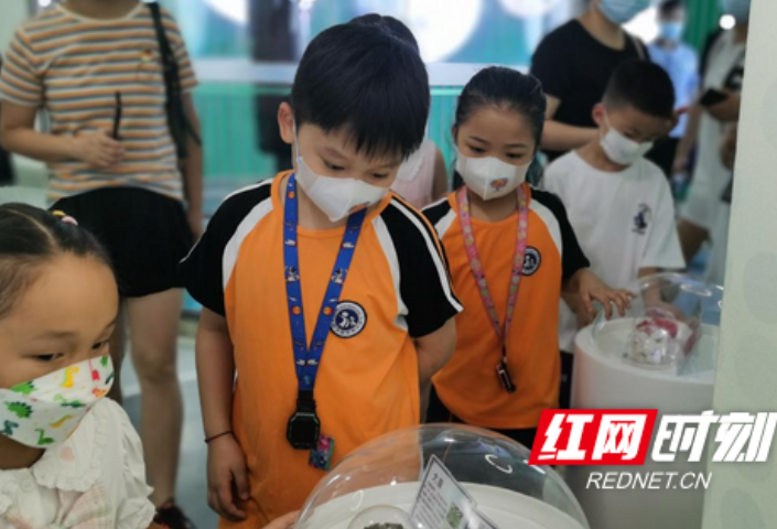 玩转健康 长沙雨花区健康教育馆组织不一样的社会实践