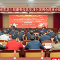 湖南省卫生健康委召开传达学习全国两会精神会议