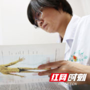揭秘中医｜谭涛：敬畏生命 不求名利求疗效