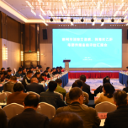 郴州市迎接省级消除“艾梅乙”母婴传播评估