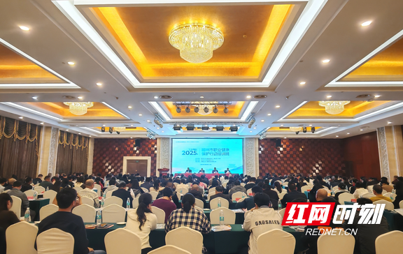 微信图片_2025-10-31_164119_414.wm.png 微信图片_2025-10-31_164119_414.wm.png