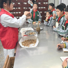 解锁传统文化新体验 娄底振翩学校学子走进娄底市中医医院