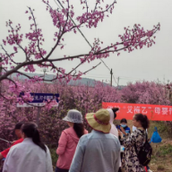 医疗提升服务年江永县消除“艾梅乙”行动走进“花海”