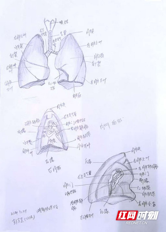 微信图片_20250409095150.wm.jpg