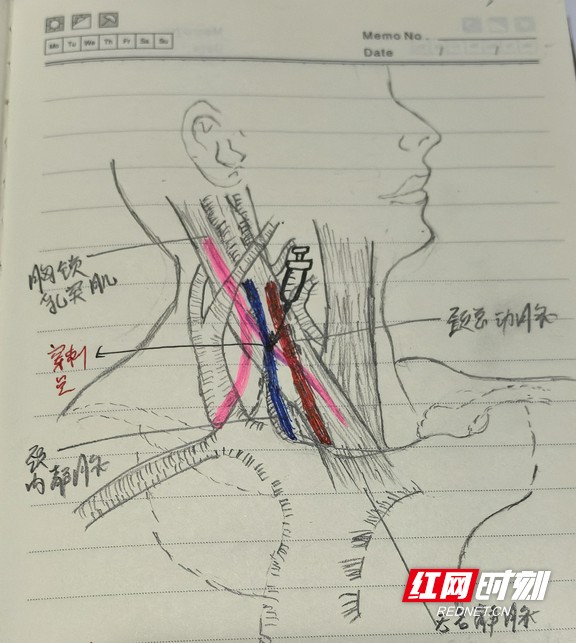 微信图片_20250409095206.wm.jpg