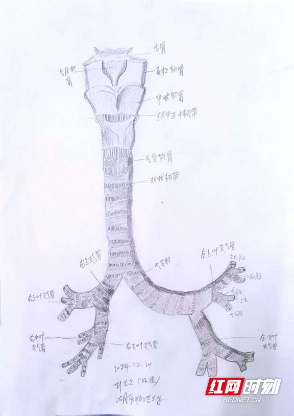 微信图片_20250409095203.wm.jpg
