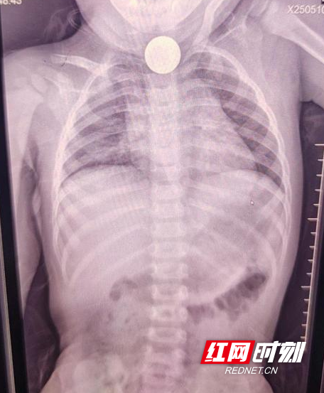 图片1.wm.png