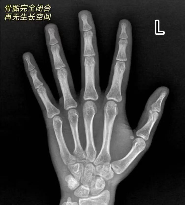 图片1.png