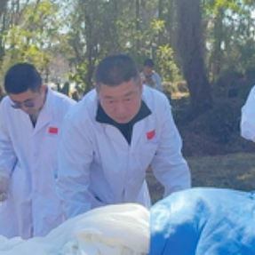 中国援津医疗队紧急救治在津车祸受伤同胞