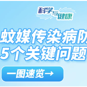 蚊媒传染病怎么防？疾控专家进行热点问题解答
