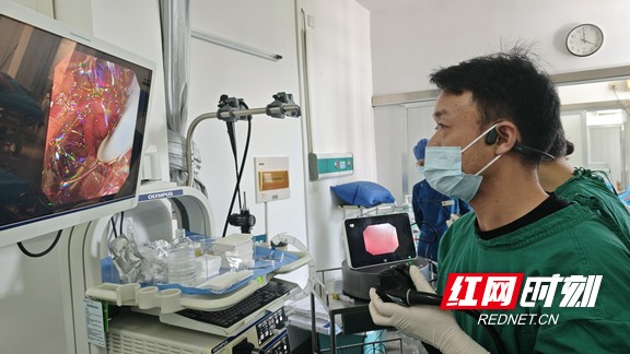 微信图片_2025-07-31_103633_386.wm.jpg