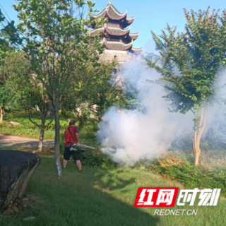江永县开展城区灭蚊蝇集中消杀