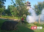 江永县开展城区灭蚊蝇集中消杀