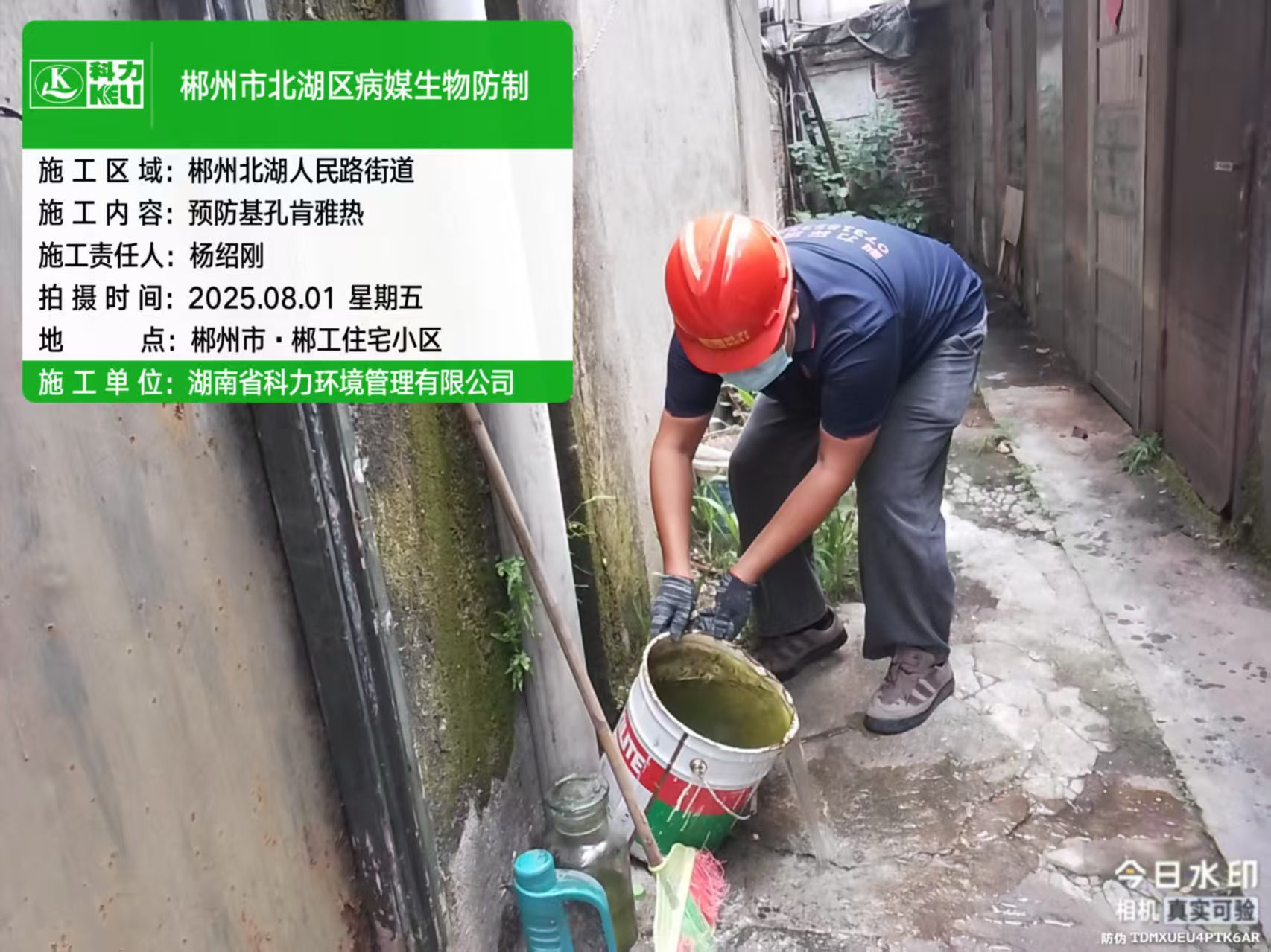 北湖.png