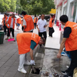 汇聚合力 多维发力 郴州全域联动攻坚“防蚊灭蚊”护健康