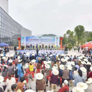 五年深耕绘新卷 张家界市计生协“十四五”书写人口服务高质量答卷