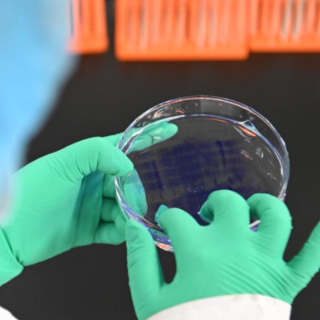 用药利好事关你我！国家医保药品“清单”一览