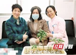 一盆绿植背后的医患情深