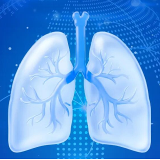 50、100的现金红包快来领！2026年湖南省结核病防治知识有奖竞答来啦