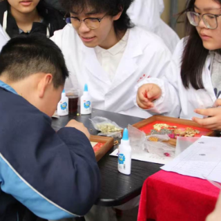 便民暖邻里 萌娃倡环保、中医润人心,长沙这个社区活动暖心又实用