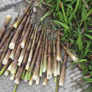 春鲜莫变“重口味”！笋子炒肉这样烹，减油减盐不减香