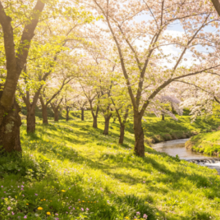 收下这份应对指南 鼻炎患者也能享受春天