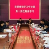 岳阳市委理论学习中心组2020年第十四次集体学习举行