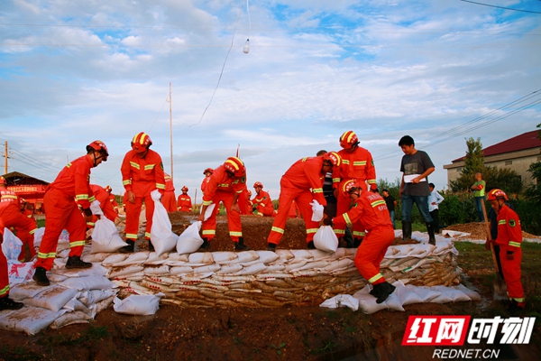 3  来自岳阳、株洲的消防指战员在磊石垸战管涌.jpg