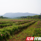 两会特别报道丨岳阳:扶贫之路道阻且长,却难挫败必胜之心