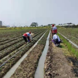 凝聚三方合力 助推乡村治理 ——湖南省岳阳县探索基层自治新模式