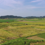临湘市一集体获省农业农村厅表彰