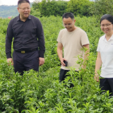 郴州市科技局：实干担当兴乡村 科技赋能促振兴