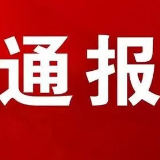 关于4起损害营商环境典型案件查处情况的通报