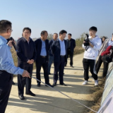 隋忠诚来岳督导三大垸蓄洪工程建设